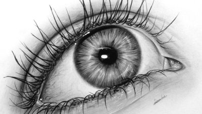 Eye, Gaze, Focus, Sight, Vision Drawing