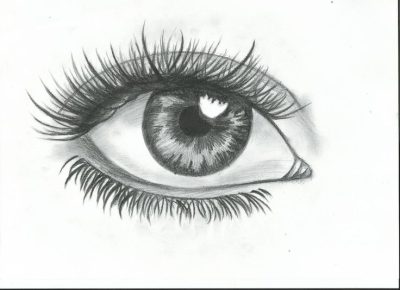 Eye, Sight, Gaze, Glance, Vision Drawing