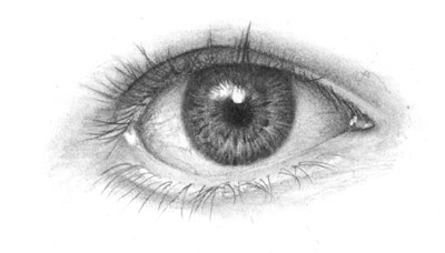 Eye, Gaze, Vision, Focus, Perception Drawing