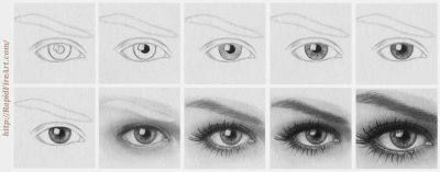 Eye, Focus, Gaze, Sight, Vision Drawing