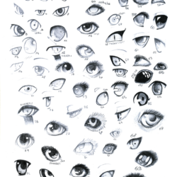 Eye Reference Drawing