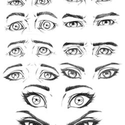 Eye Reference Drawing Detailed Sketch