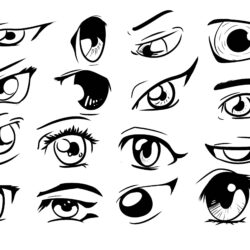 Eye Reference Drawing Fine Art