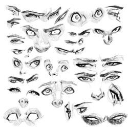 Eye Reference Drawing Hand Drawn Sketch