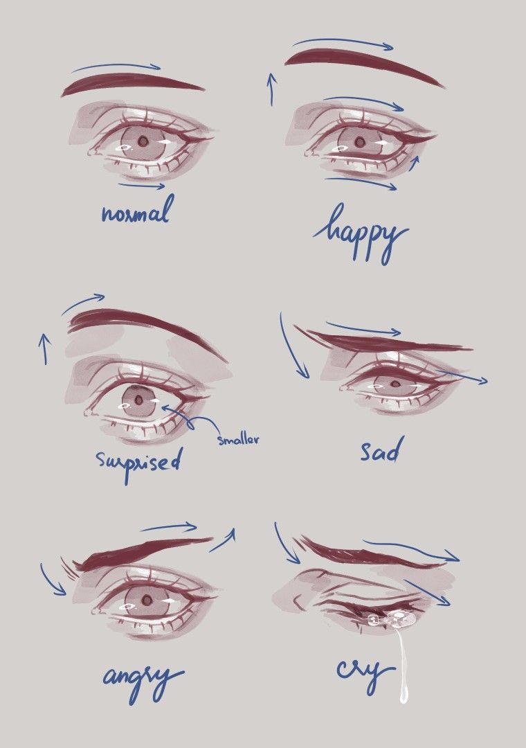 Eye Reference Drawing Realistic Sketch