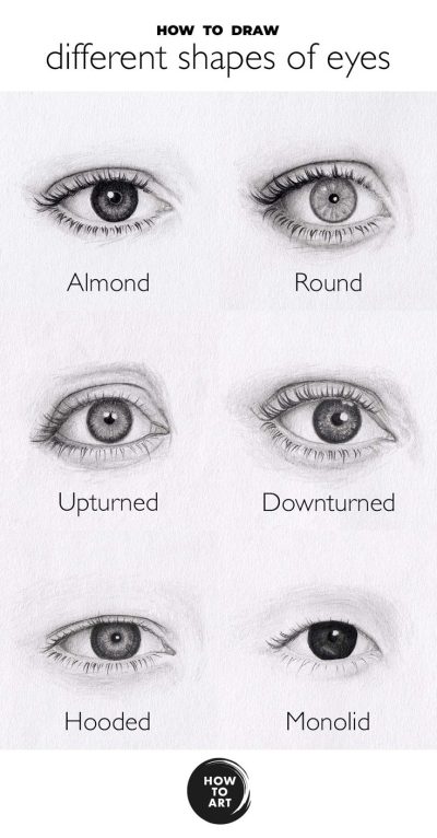 Eye Shapes Almond, Upturned, Monolid, Hooded, Round Drawing