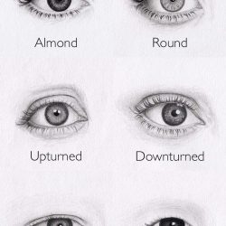 Eye Shapes Drawing Art