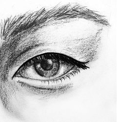 Eye Shapes Drawing Detailed Sketch