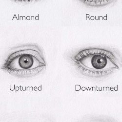 Eye Shapes Drawing Image