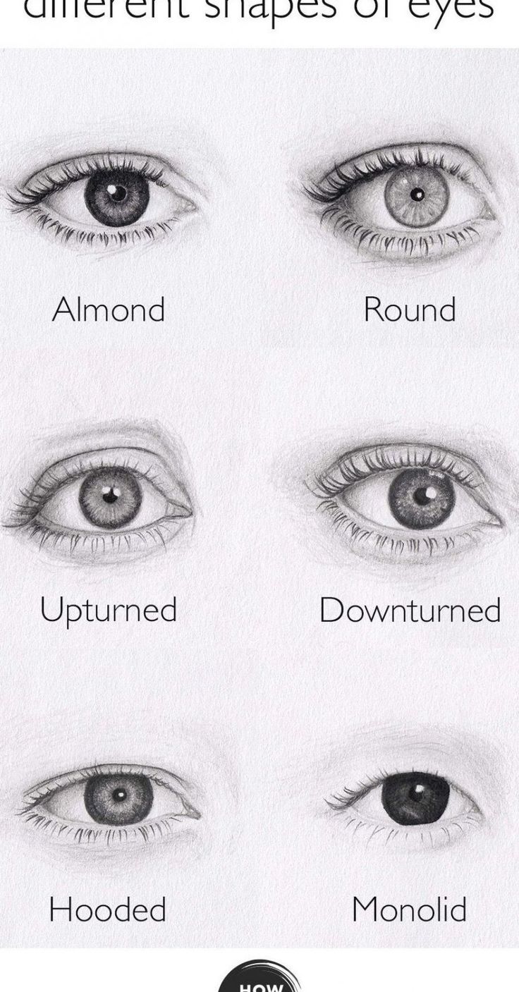 Eye Shapes Drawing Image