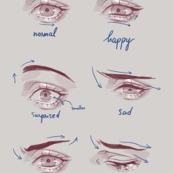 Eye Shapes Drawing Picture