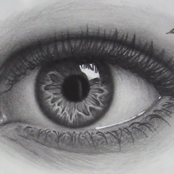 Eye Shapes Drawing Realistic Sketch