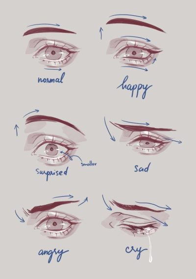 Eye Shapes, Round, Monolid, Hooded, Upturned, Almond Drawing