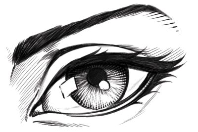 Eye, Vision, Gaze, Focus, Sight Drawing