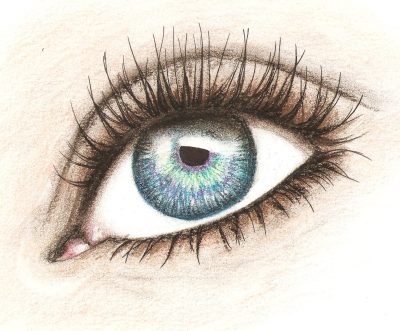 Eyeball, Optical, Cornea, Vision, Retina Drawing