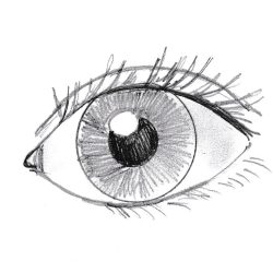 Eyeball Simple Drawing Intricate Artwork