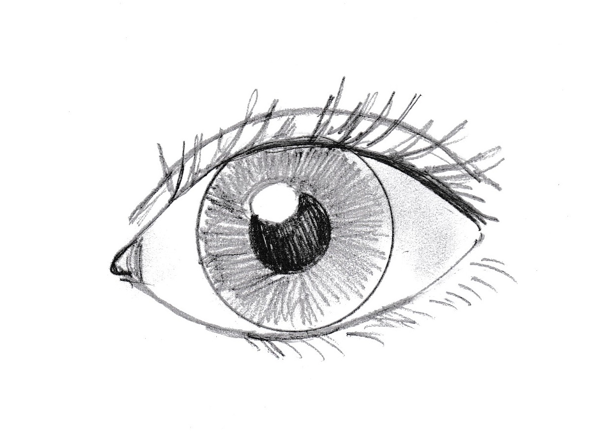Eyeball Simple Drawing Intricate Artwork