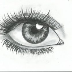 Eyeball Simple Drawing Modern Sketch