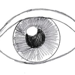 Eyeball Simple Drawing Realistic Sketch