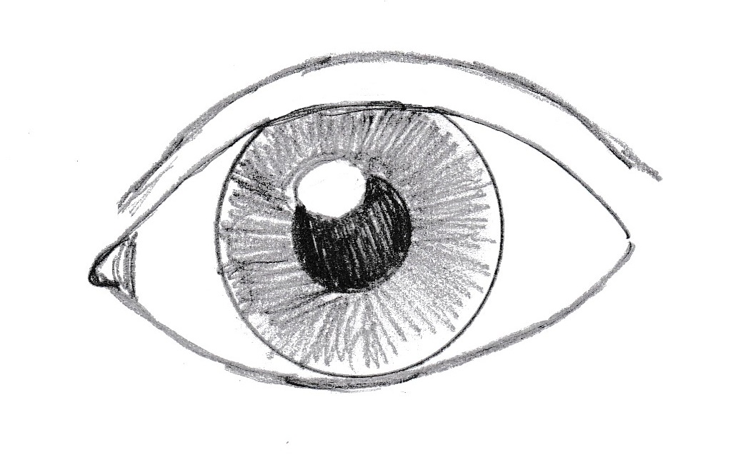 Eyeball Simple Drawing Realistic Sketch