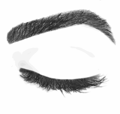 Eyebrow Design, Eyebrow Care, Eyebrow Grooming, Eyebrow Tinting, Eyebrow Shaping Drawing