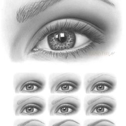 Eyebrow Drawing Amazing Sketch