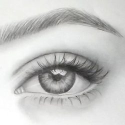Eyebrow Drawing Hand drawn