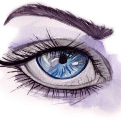 Eyebrow Drawing Realistic Sketch