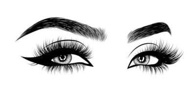 Eyebrows, Grooming, Definition, Shape, Style Drawing