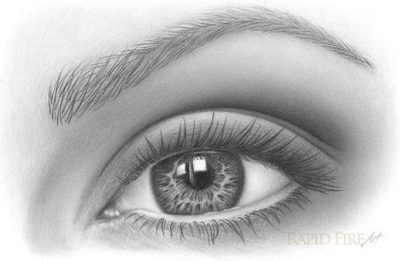 Eyebrows, Shaping, Grooming, Maintenance, Tinting Drawing