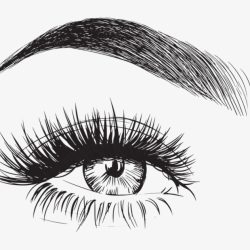 Eyelash Drawing Amazing Sketch