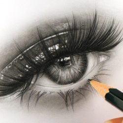 Eyelash Drawing Detailed Sketch