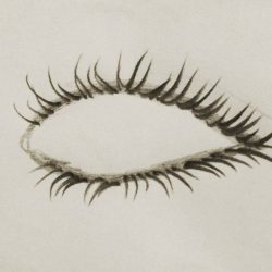 Eyelash Drawing Hand drawn