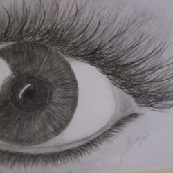 Eyelash Drawing Hand drawn Sketch