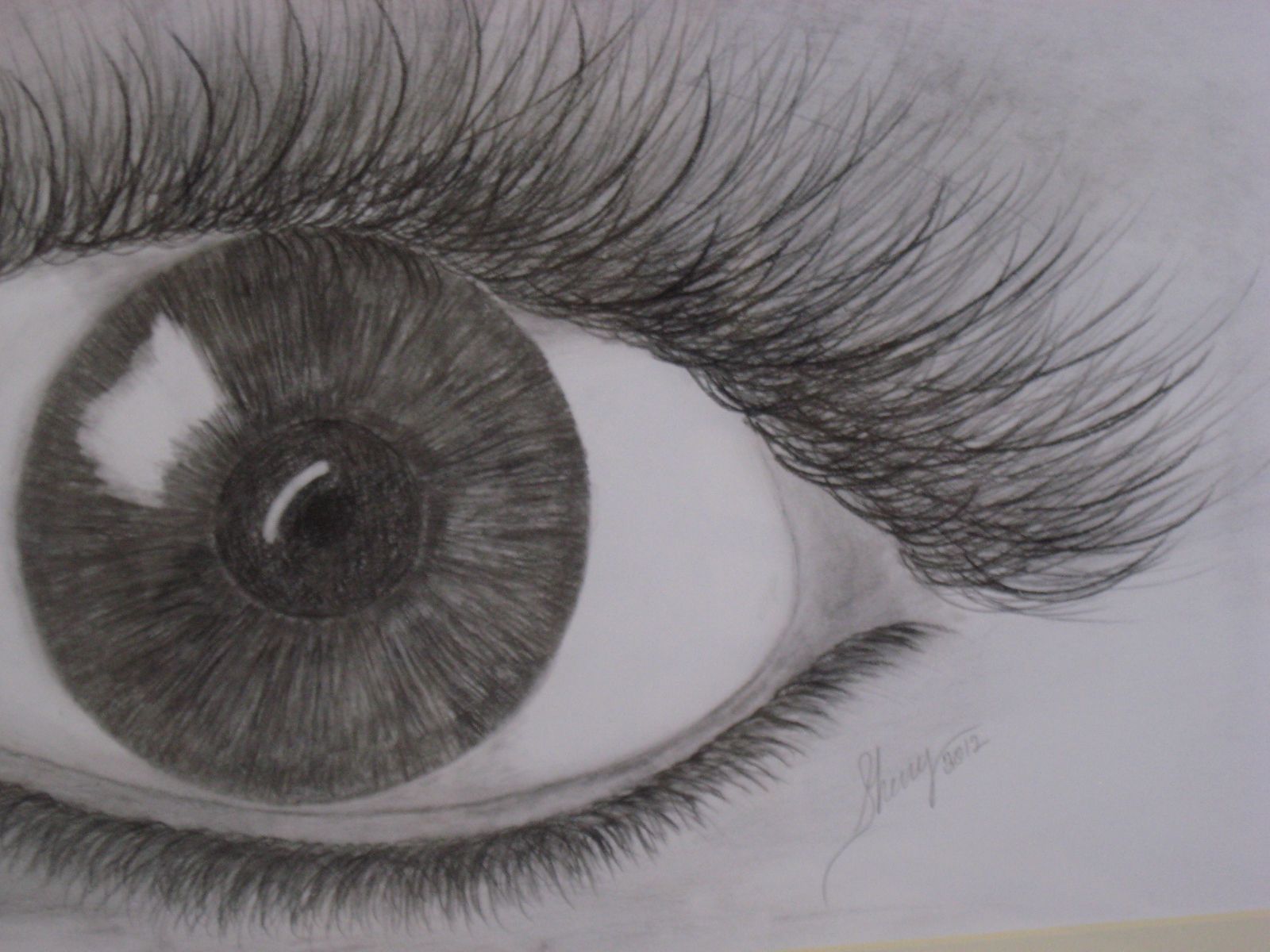 Eyelash Drawing Hand drawn Sketch