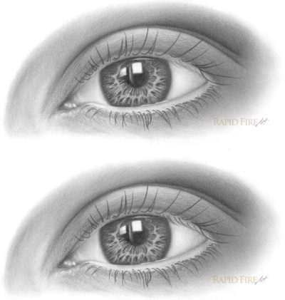 Eyelashes, Volume, Definition, Curl, Length Drawing