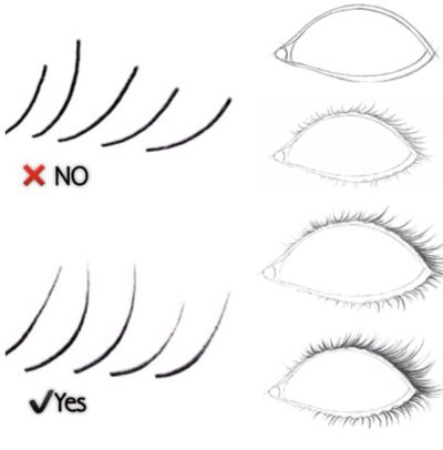 Eyelashes, Volume, Definition, Curl, Length Drawing