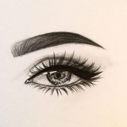 Eyelashes Drawing Artistic Sketching