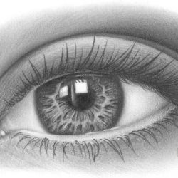 Eyelashes Drawing Hand drawn Sketch