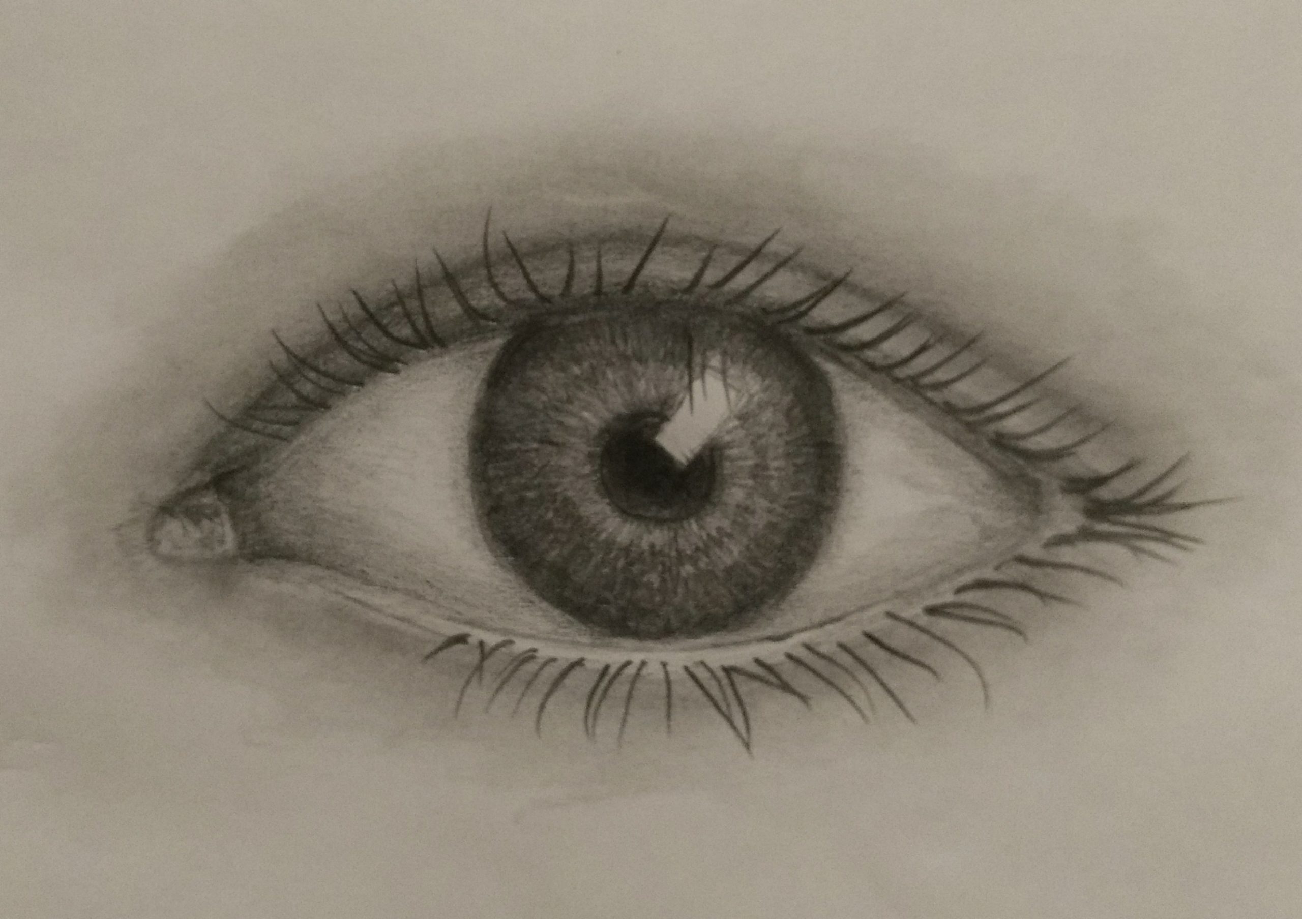 Eyelashes Drawing Hand drawn