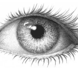 Eyelashes Drawing Modern Sketch