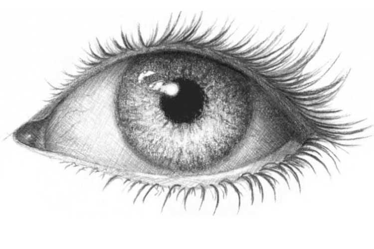 Eyelashes Drawing Modern Sketch