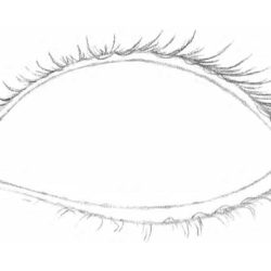 Eyelashes Drawing Picture