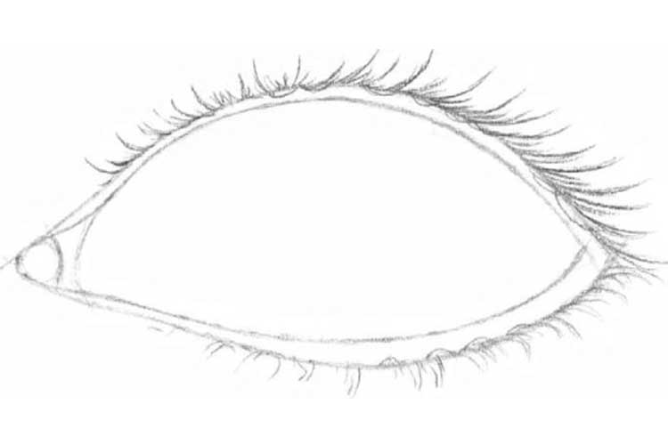 Eyelashes Drawing Picture