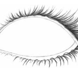 Eyelashes Drawing Professional Artwork