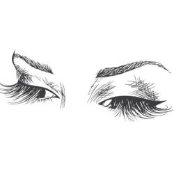 Eyelashes Drawing Realistic Sketch