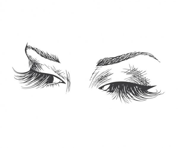 Eyelashes Drawing Realistic Sketch