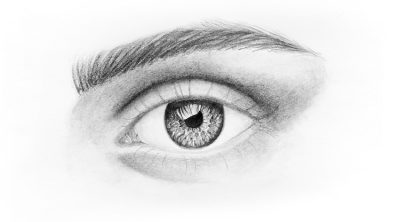 Eyes, Glance, Stare, Vision, Gaze Drawing