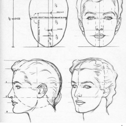 Face Anatomy Drawing Amazing Sketch