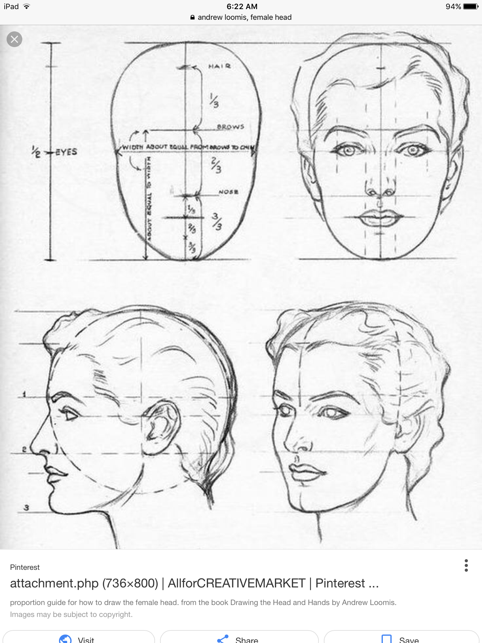 Face Anatomy Drawing Amazing Sketch